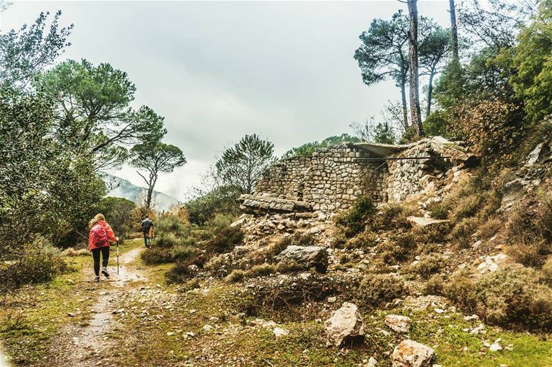 Arsoun. . . . . . . . . __________________________________________... (Arsoûn, Mont-Liban, Lebanon)