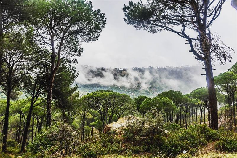 Arsoun__________________________________________... (Arsoûn, Mont-Liban, Lebanon)