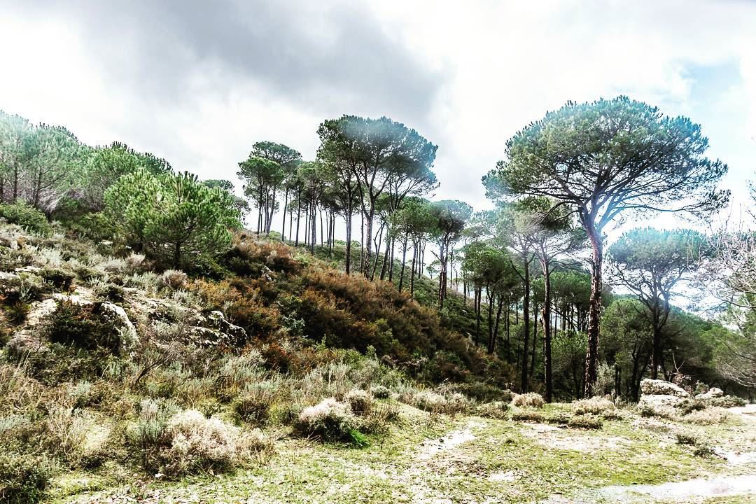 Arsoun__________________________________________... (Arsoûn, Mont-Liban, Lebanon)