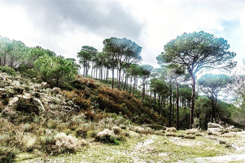 Arsoun__________________________________________... (Arsoûn, Mont-Liban, Lebanon)