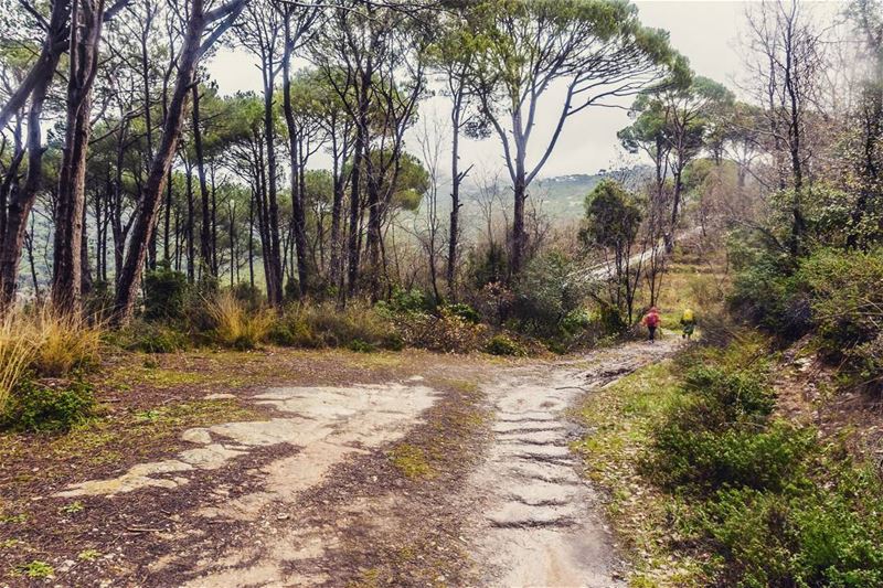 Arsoun__________________________________________... (Arsoûn, Mont-Liban, Lebanon)