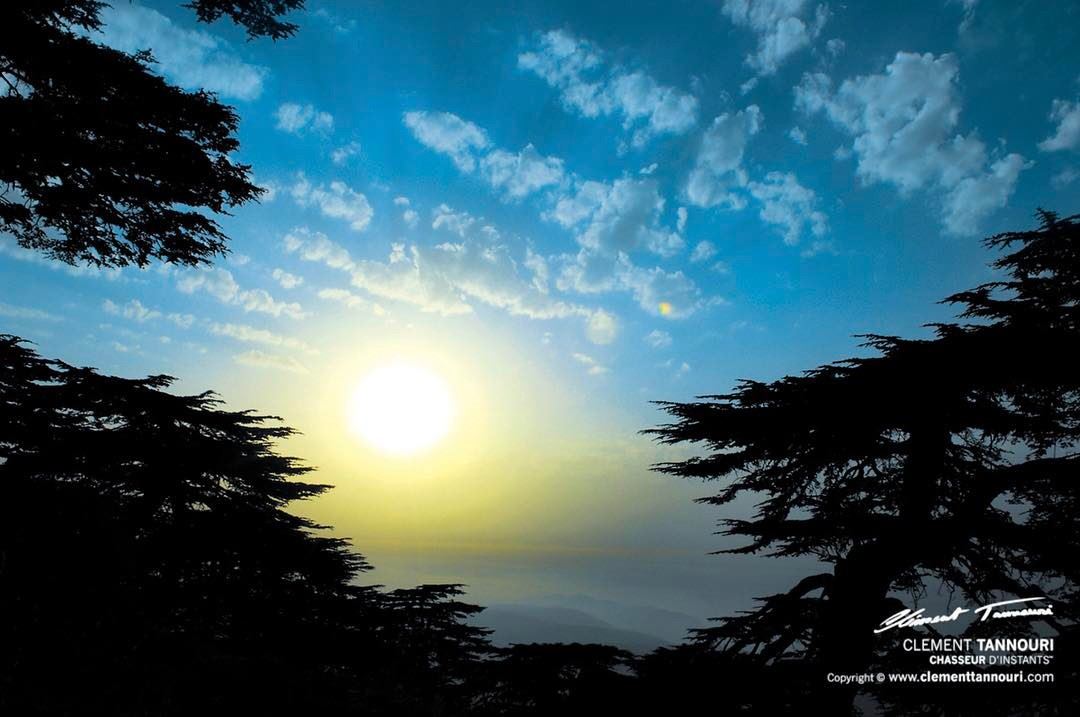 Arz el Barouk 🌲Good Morning ☀️🌈 livelovechouf  livelovebarouk ... (Bâroûk, Mont-Liban, Lebanon)