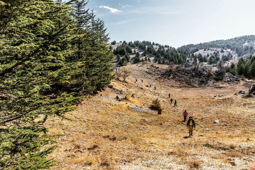 Arz El Chouf__________________________________________... (Arz el Chouf)