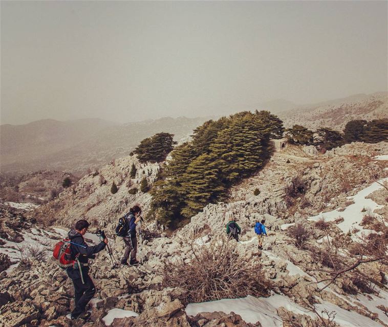 Arz Jaj. . . . . . . . . __________________________________________... (Jaj, Mont-Liban, Lebanon)