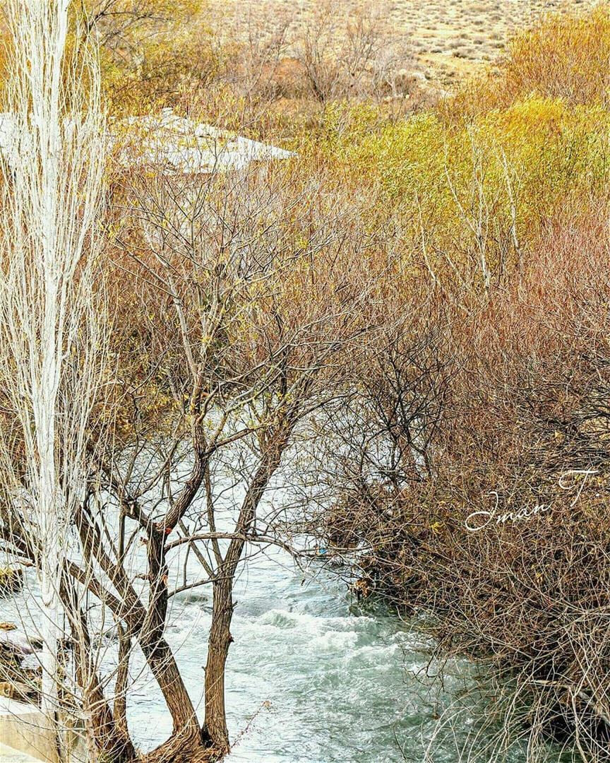  Assiriver by @imantaha77 hermel  hermel_city  bekaa  lebanon_pictures  ... (El Hermel, Béqaa, Lebanon)