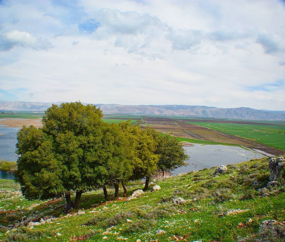 At some point in life, the world's beauty becomes enough~  loves_lebanon ... (West Bekaa)
