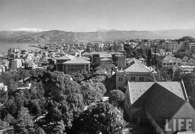 AUB  1953 