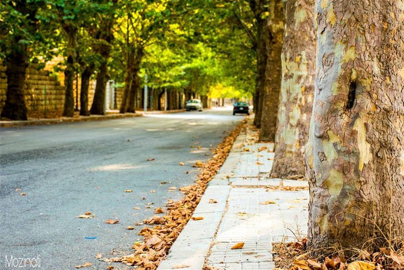  autumn🍁  autumn streetshot insta_lebanon streetstyle lebanon_hdr... (Sawfar, Mont-Liban, Lebanon)