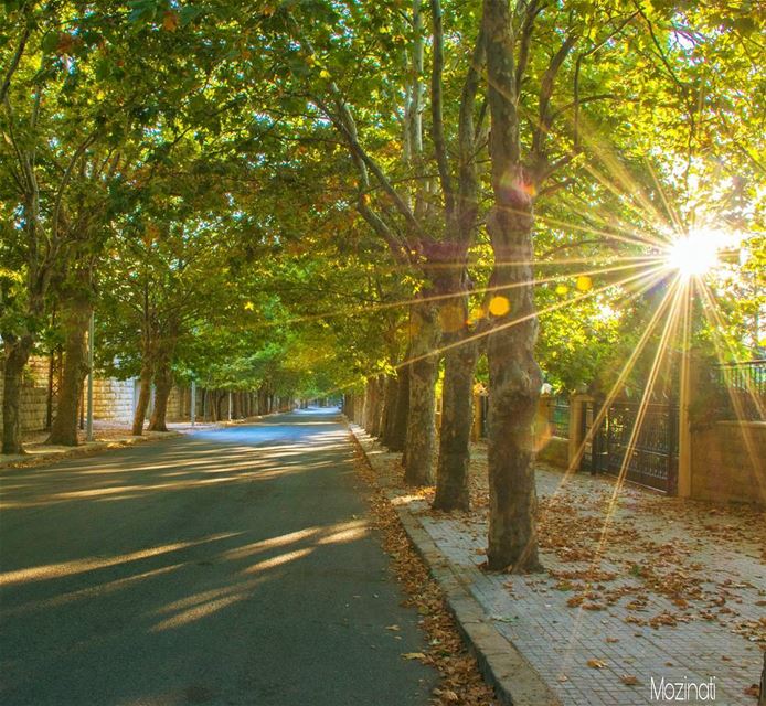  autumn autumn🍁 sunset_hub ig_sunsets ig_sunsetshots ig_epicshotz... (Sawfar, Mont-Liban, Lebanon)