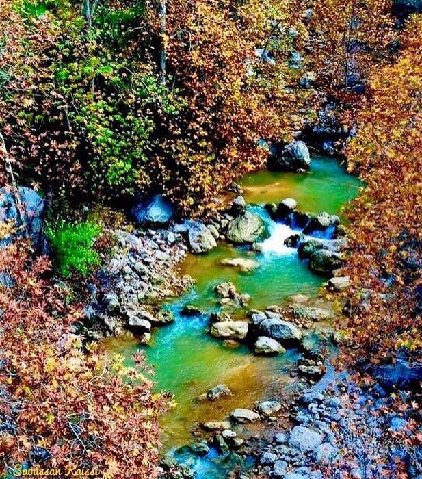  autumn  autumnleaves  trees  landscapephotography  river  colors ...