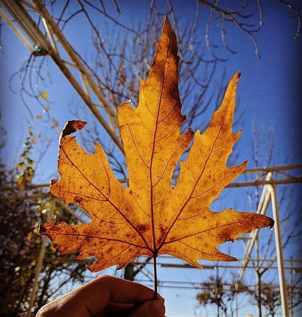  autumn🍁 by @ali_abdine hermel  hermel_city  bekaa  lebanon_pictures  ... (Hermel)