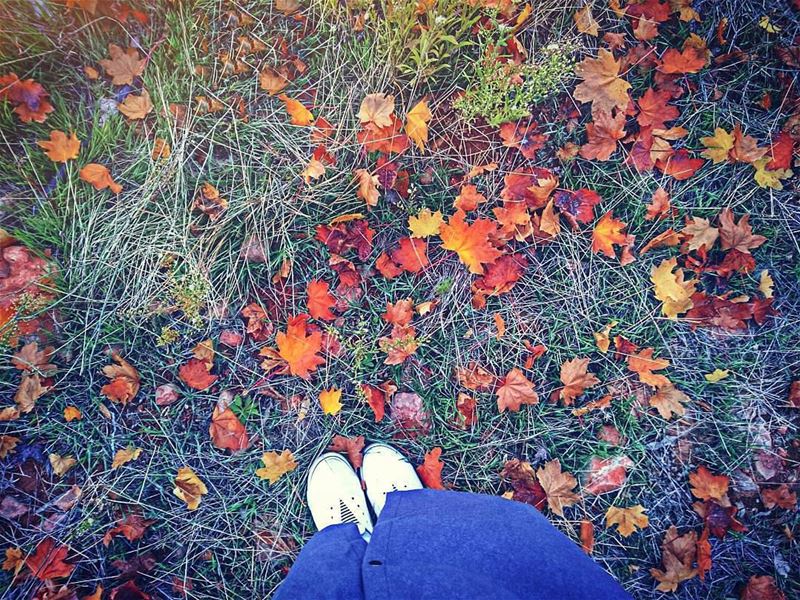  autumn🍁  Hermel  LebanonPhoto credits to @zahraa_heck hermel_city ... (El Hermel, Béqaa, Lebanon)