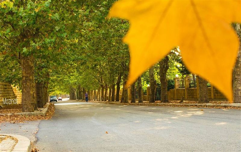  autumn🍁  ig_myshots ig_street streetshot streetstyle super_lebanon... (Sawfar, Mont-Liban, Lebanon)