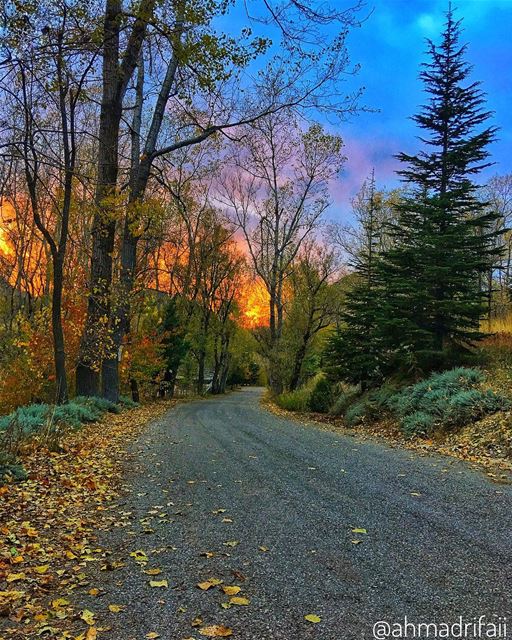 Autumn leaves are falling,,, Sun is setting,,, What a great and... (Akoura, Mont-Liban, Lebanon)