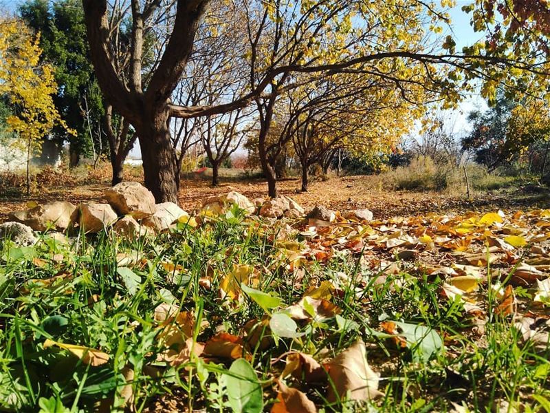  autumn🍁 spirit by @firassafwan hermel  hermel_city  bekaa ... (El Hermel, Béqaa, Lebanon)