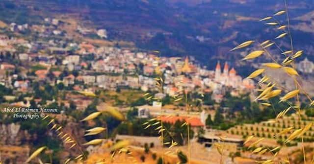 Autumn vibes....Bonjour | Join me on Facebook for more pictures ╰▶ Abed El... (Bsharri District)