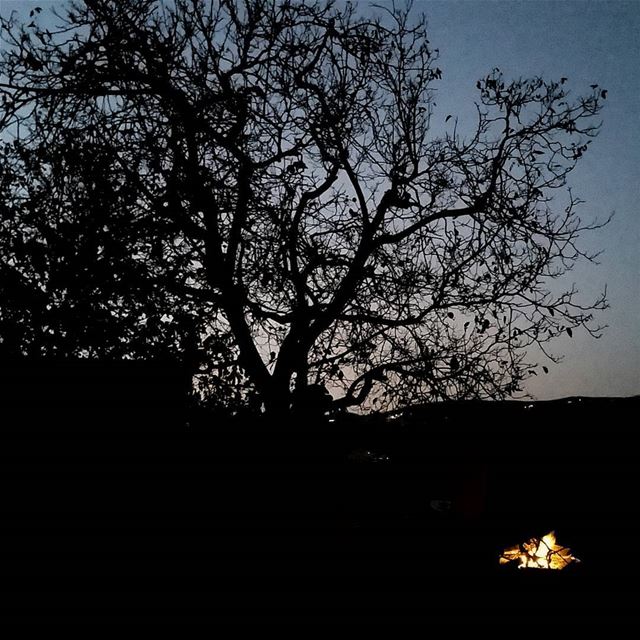 Away from the City 🌑🔥  livelovebeirut  wearelebanon  tree fire camp ... (Zaarour Mountain)