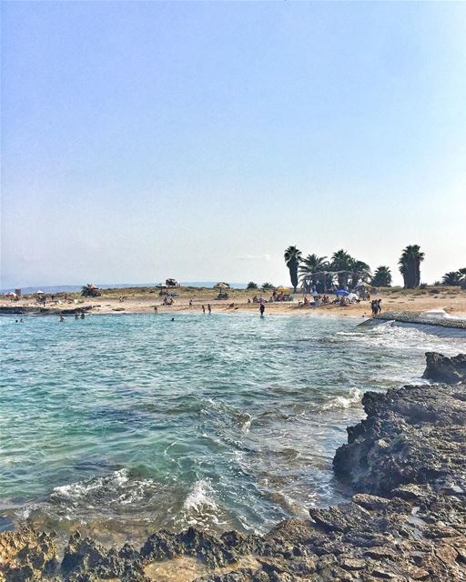 Awesome day at @rabbitsisland with @lebanese.wanderers