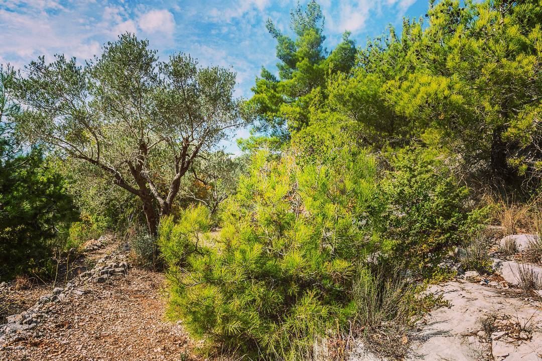 Baakline __________________________________________... (Baakline, Mont-Liban, Lebanon)