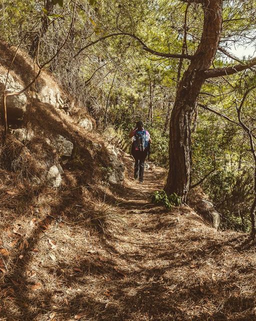 Baakline, Lebanon lebanon  hiking  nature  outdoors  livelovelebanon ... (Baakline, Mont-Liban, Lebanon)