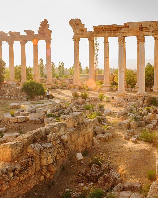 Baalbeck e o mais impressionante sítio arqueológico do mundo. Desejamos um... (Baalbek, Lebanon)