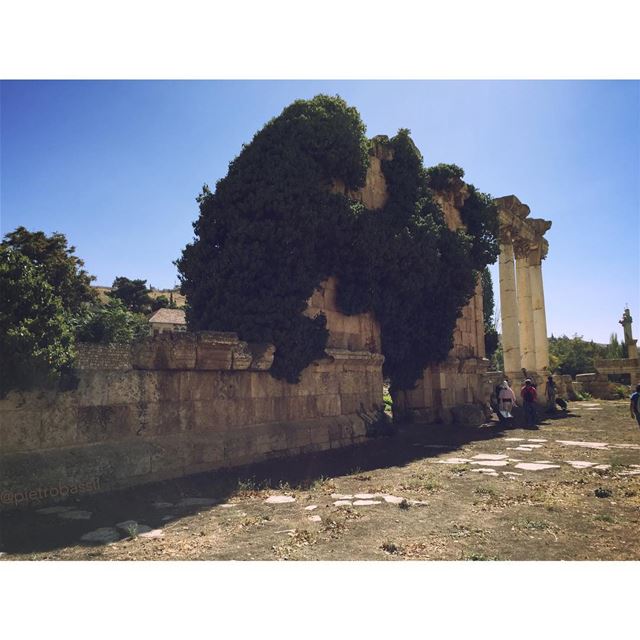  baalbek  baalbeck  lebanon  architecture  archeology ... (Baalbek Temple)