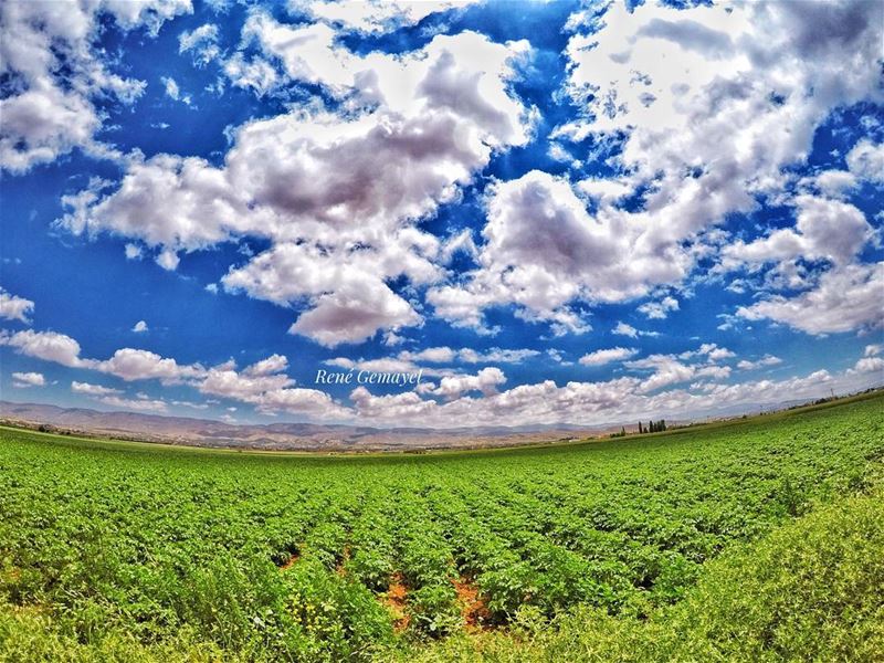 Baalbek district  goprome  yallagopro goproleb  livelovelebanon  ...