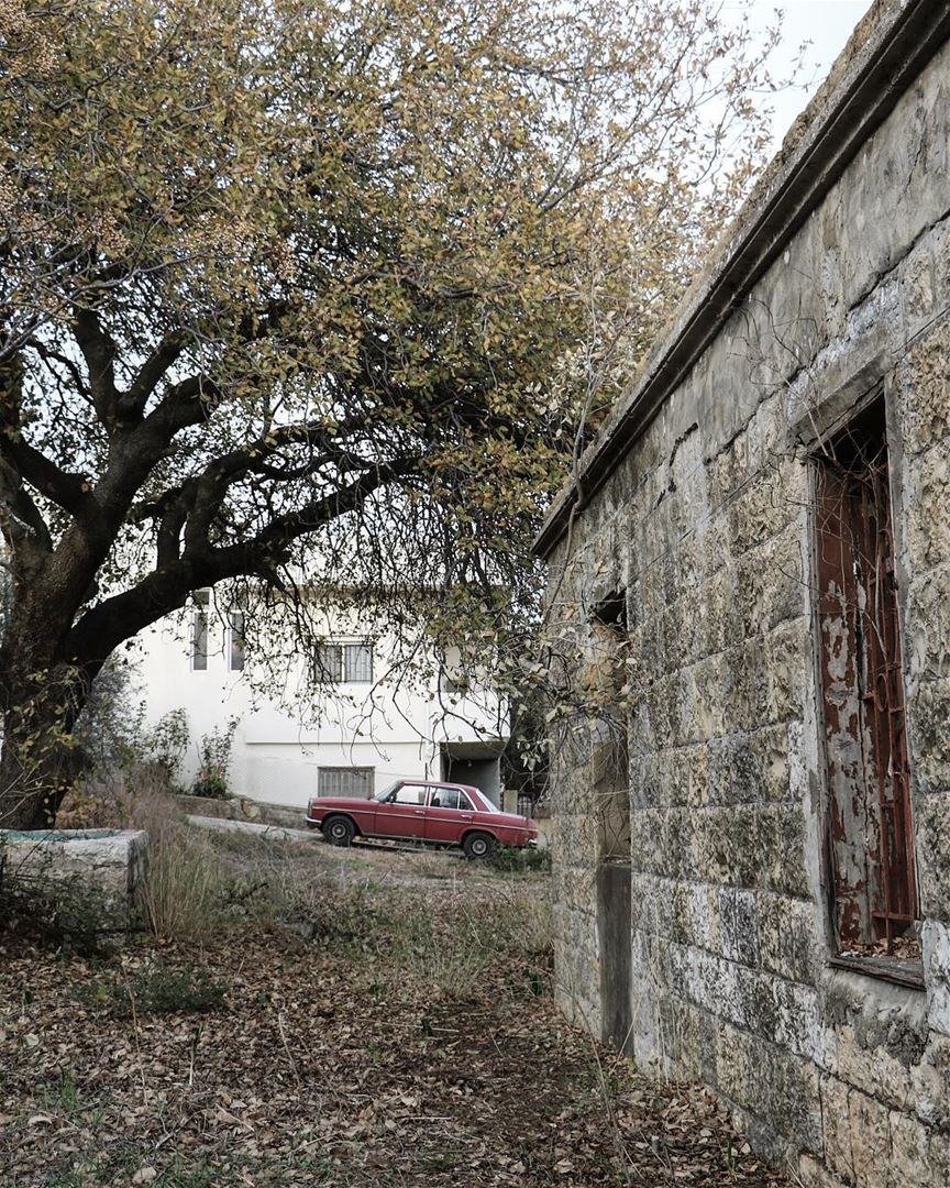 Backyard parkings 🍂 (Marjayoûn, Al Janub, Lebanon)