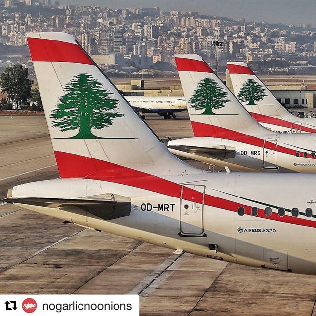 🇱🇧 Bandeira libanesa nos aviões da companhia aérea nacional. Orgulho! ... (Beirut–Rafic Hariri International Airport)