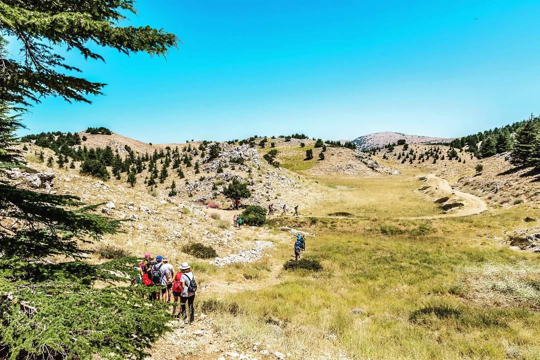 Barouk,  Chouf Reserve, Lebanon ... (Arz el Bâroûk)