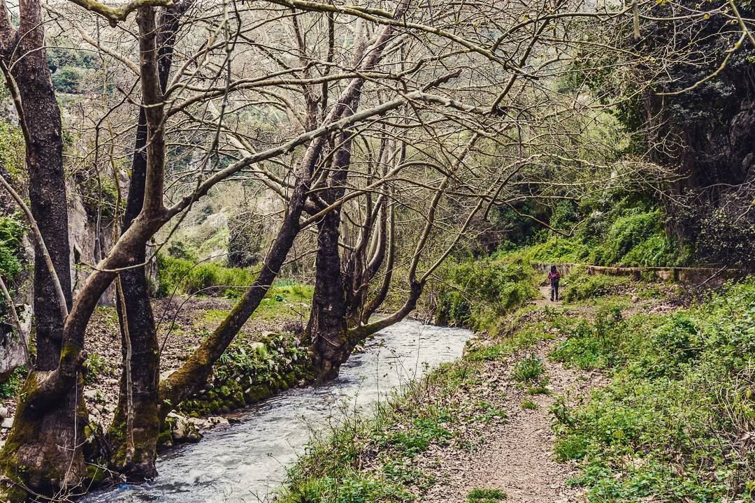 Batroun Area . . . . . . . . . __________________________________________... (Batroun District)