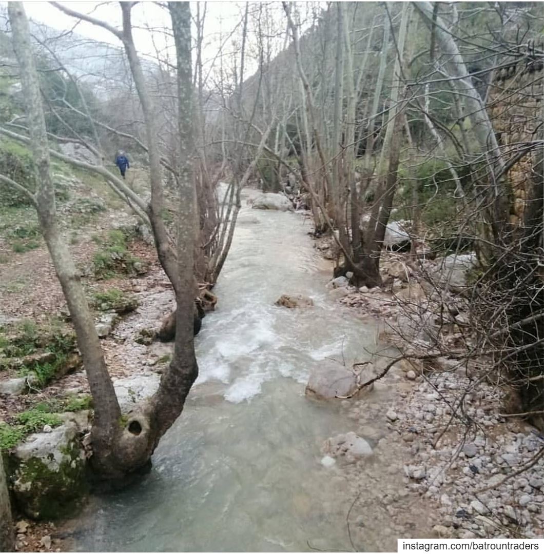 batroun  beitchelala   village  البترون_سفرة  river  nature  bebatrouni ... (Beit Chléla, Liban-Nord, Lebanon)