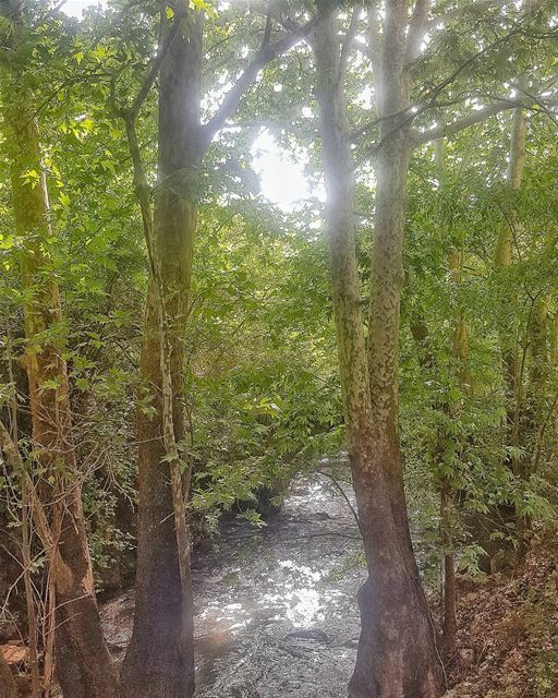  batroun  boksmaya  village  nature  river  valley  bebatrouni  lebanon ... (Boksmaya, Liban-Nord, Lebanon)