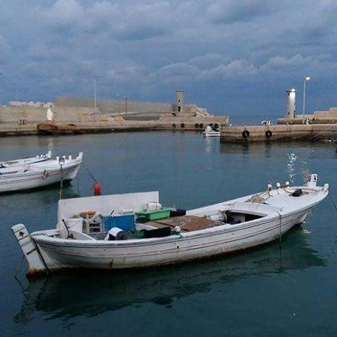  batroun  mina  marina  fisherman  fishers  sea  mediterraneansea ... (Mina-batroun)