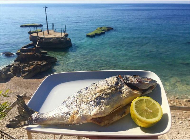  batroun  restaurants  seafood  fish  mediterranean  cuisine ... (Kaptn)