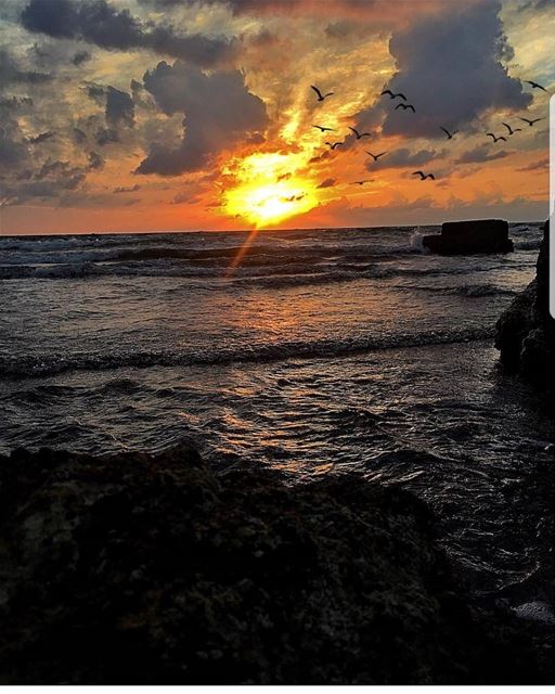  batroun  sunset  sea  mediterraneansea  batrounbeach  batrouncoast ... (Batroûn)