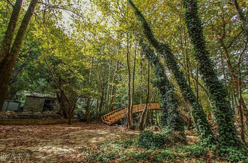  batroun  tannourine  village  nature  mountains  valley  river ... (Tannurin At Tahta, Liban-Nord, Lebanon)