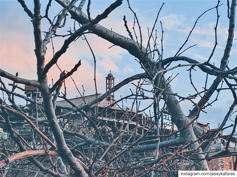 Be not afraid to live your faith. Be not afraid of branching out into the... (El-Kour, Liban-Nord, Lebanon)