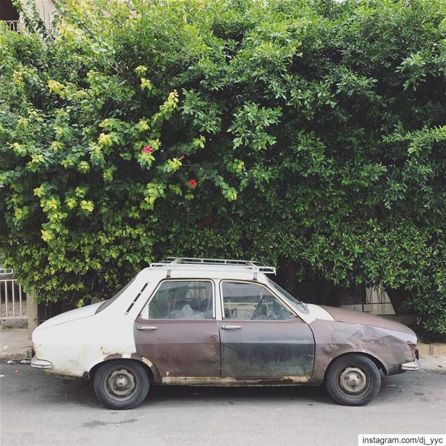 Beaters of Beirut (47) (Achrafieh, Lebanon)