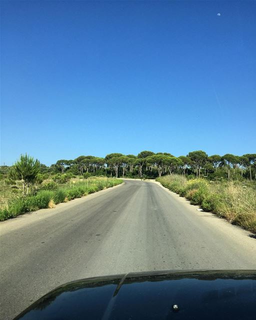 Beautiful drive 🌳🚙  a7labaladbil3alam  photo  love  photograph ... (Joûn, Liban-Sud, Lebanon)