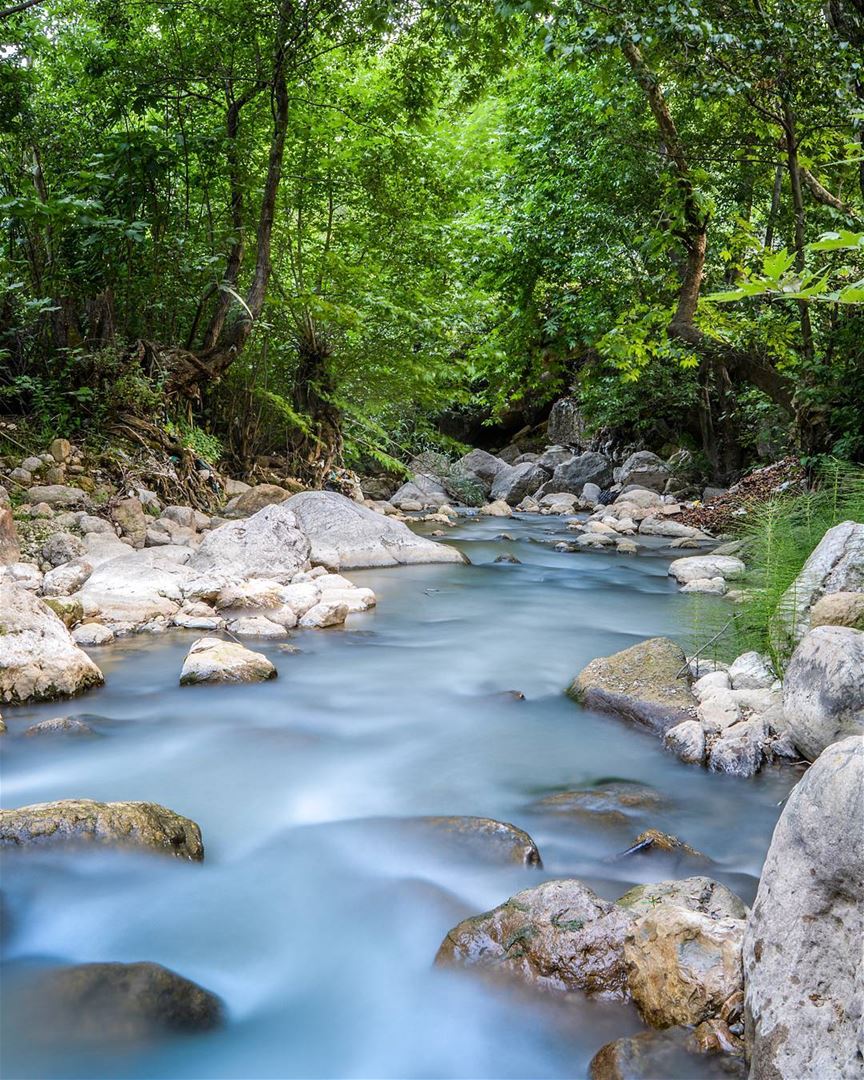 .Beautiful nature of Lebanon | The valley of Kannubin 13-5-2017 | 20 sec... (Wadi qannoubine)