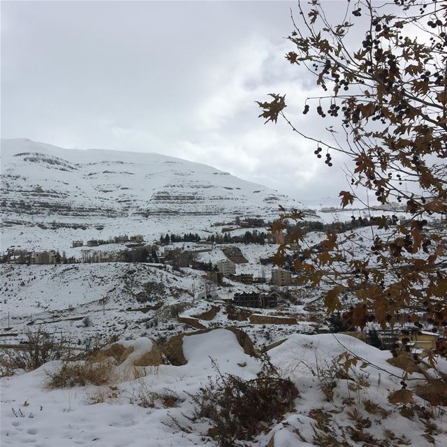  beautiful  nature_perfection  ptk_lebanon  whatsuplebanon  snow  winter ... (Faraya, Mont-Liban, Lebanon)