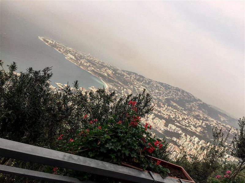  beautiful ... (Our Lady of Lebanon)