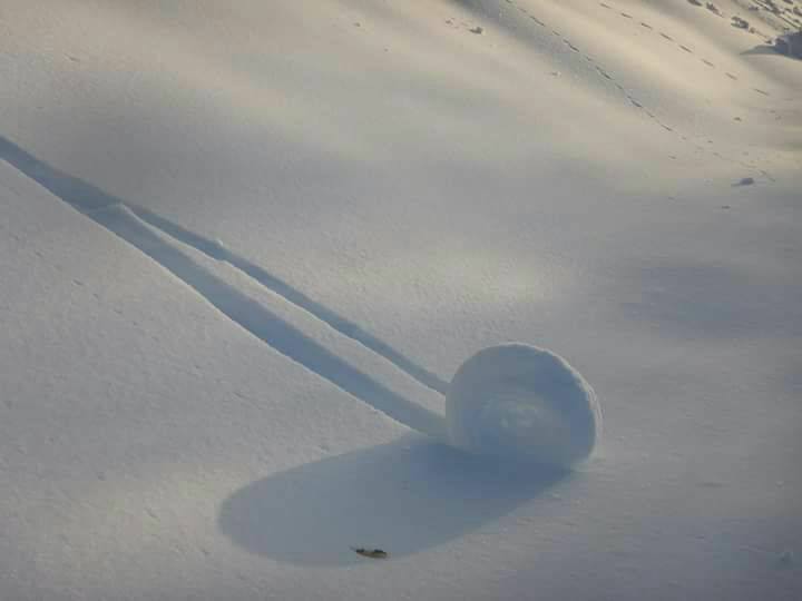 Beautiful Snow formations in Horsh Ehden Natural Reserve (Horsh Ehden, Lebanon)