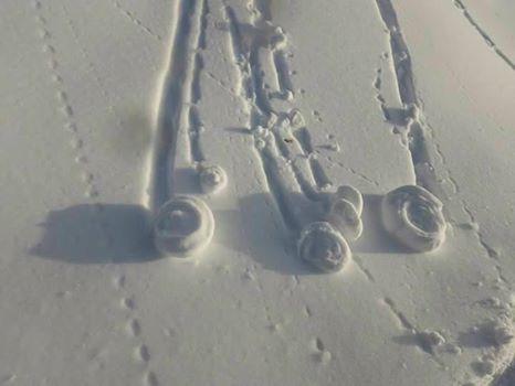 Beautiful Snow formations in Horsh Ehden Natural Reserve (Horsh Ehden, Lebanon)