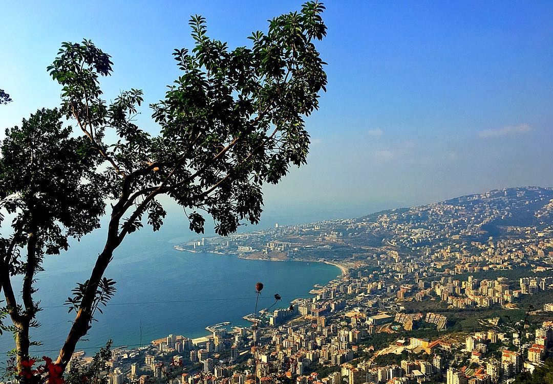 Beautiful things don't ask for attention 🌲☀️🌊  harissa  jounieh  lebanon... (Harîssa, Mont-Liban, Lebanon)