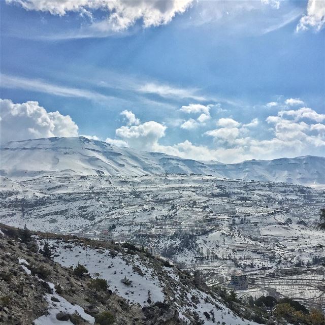 Beautiful things don't ask for... (Cedars of God)