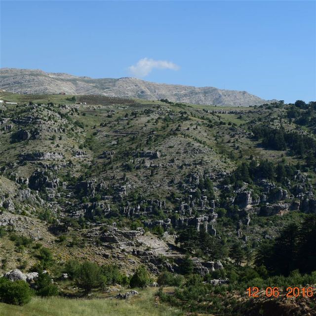  beautifulday  sunday  sunny  cedars  tannourine  livelovetripoli  ...