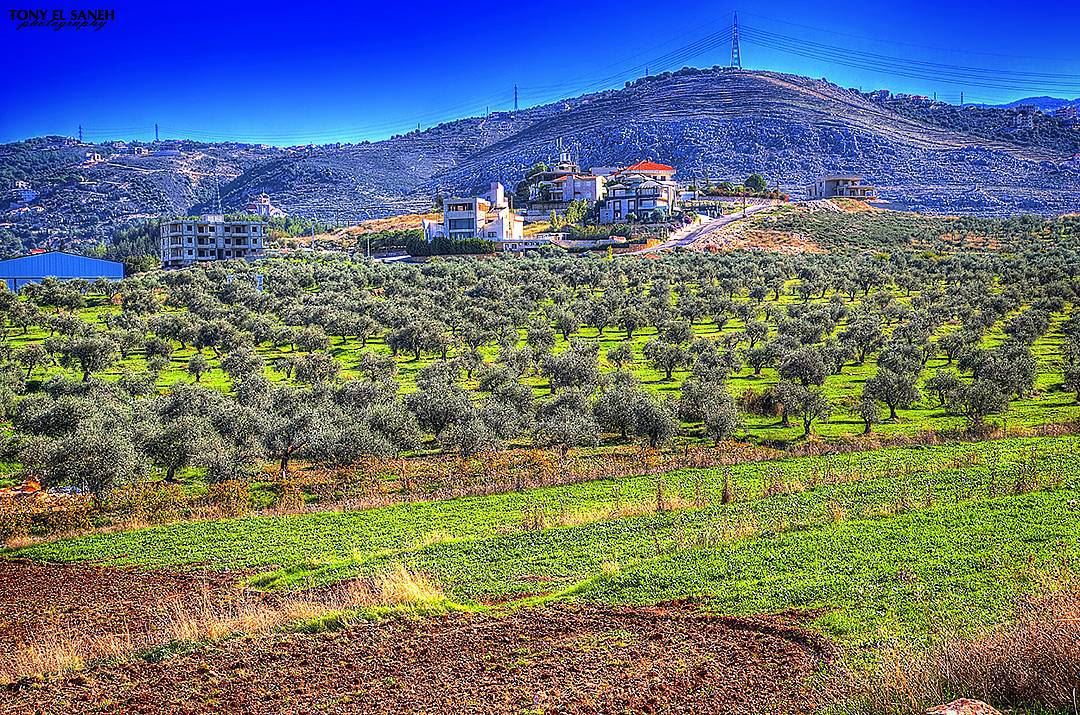  beautifulnature  beautifullebanon  naturephotography  nature ... (Kfarhelda)