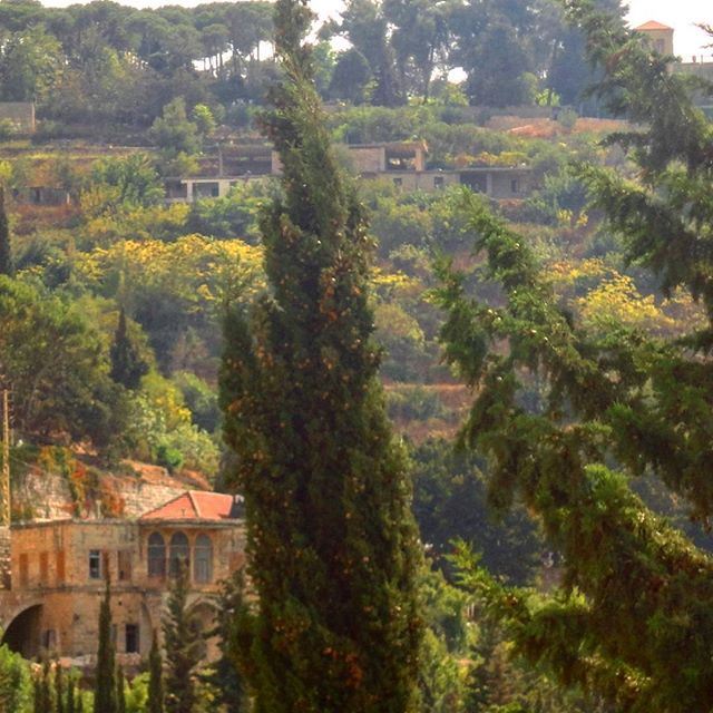 beautifulnature oldlebanonhouses pinetrees redbrick oldarchitectureautumn automne (Chouf)